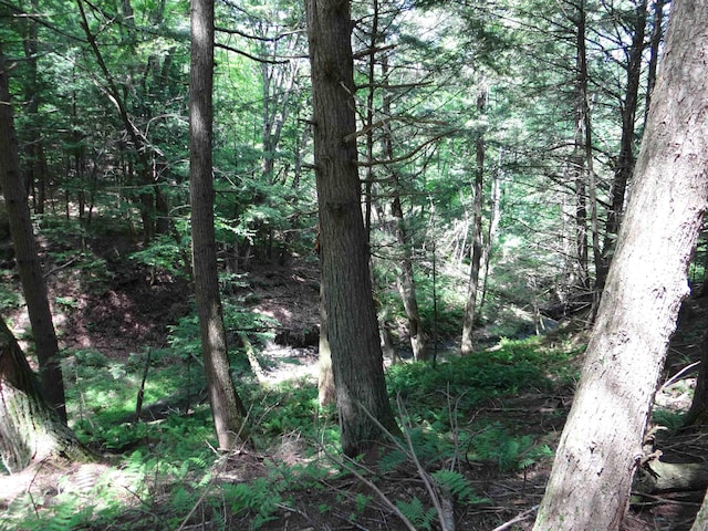 2505 County Rd, Windsor, VT 05089 - view of woods