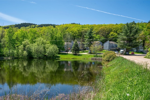 31 Eastside Ln Unit 8, Francestown, NH 03043 - water view with a heavily wooded area
