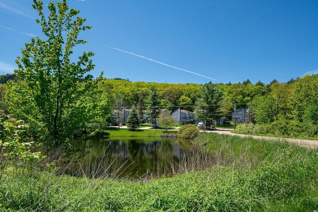 31 Eastside Ln Unit 8, Francestown, NH 03043 - view of yard featuring a water view