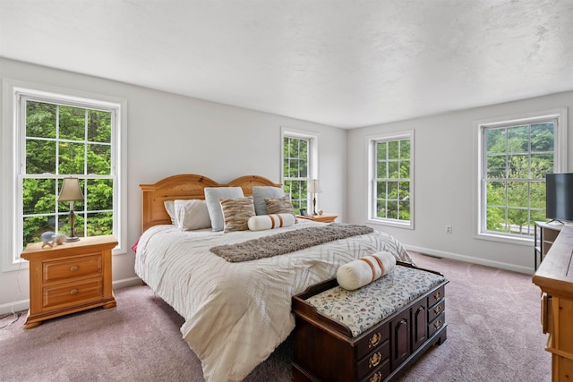 60 Lady Slipper Ln, Chester, NH 03036 - bedroom with light colored carpet and baseboards