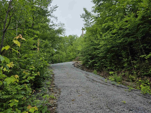 485 Bog Rd, Hillsborough, NH 03244