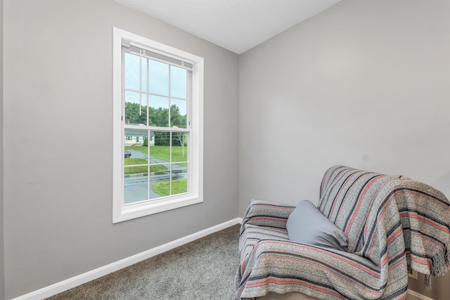 69A Windham Rd Unit A, Hudson, NH 03051 - living area featuring plenty of natural light and carpet
