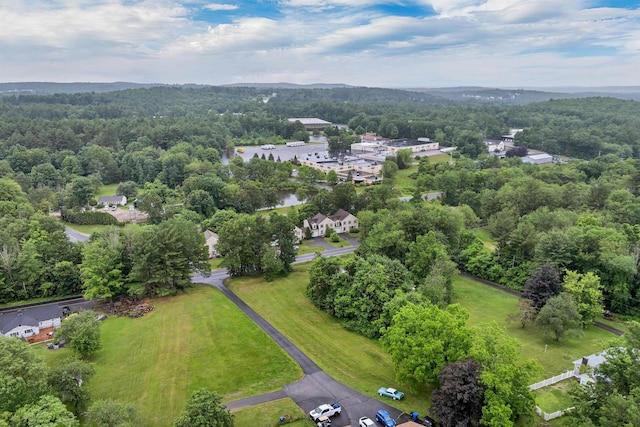 69A Windham Rd Unit A, Hudson, NH 03051 - drone / aerial view of a forest