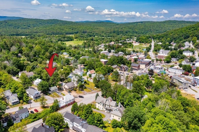 10 Prospect St, Bristol, NH 03222 - aerial perspective of suburban area with a heavily wooded area