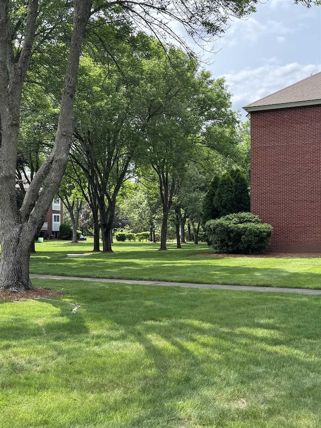 121 Cluff Xing Unit 8, Salem, NH 03079 - view of green lawn