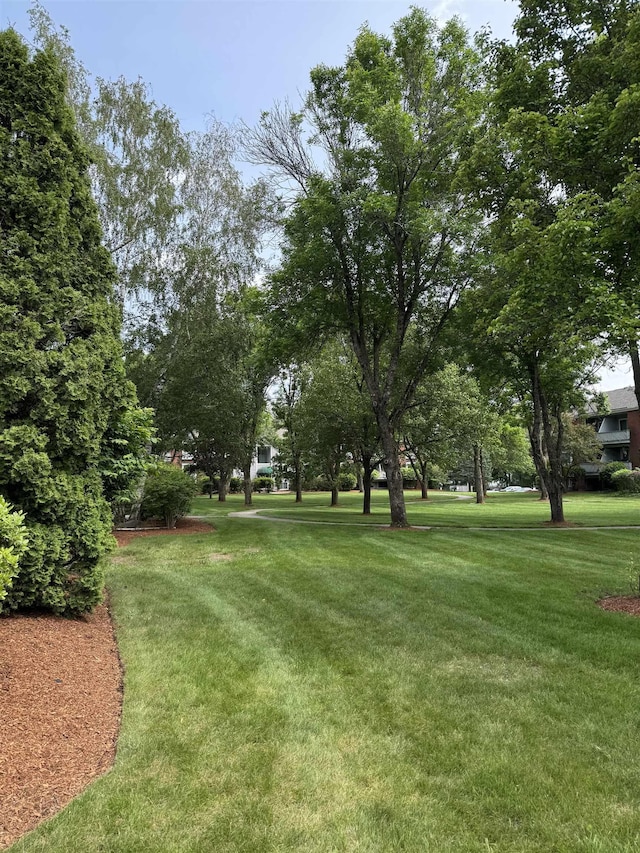 121 Cluff Xing Unit 8, Salem, NH 03079 - view of property's community featuring a yard