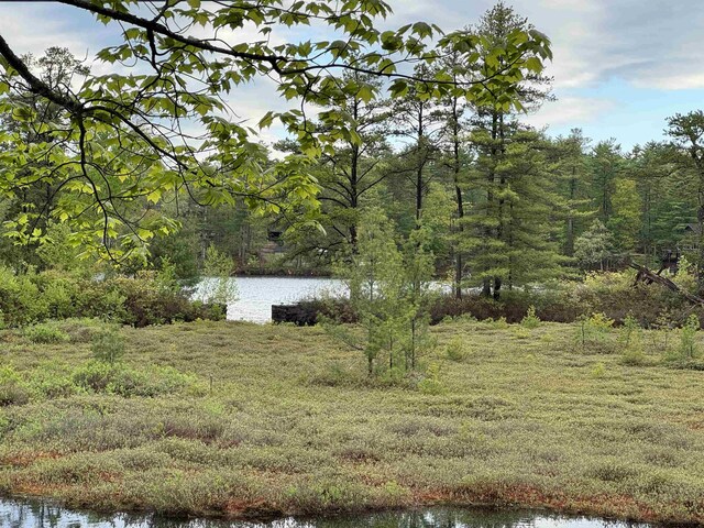 149 Sleepy Hollow Rd, Wakefield, NH 03830 - water view featuring a forest