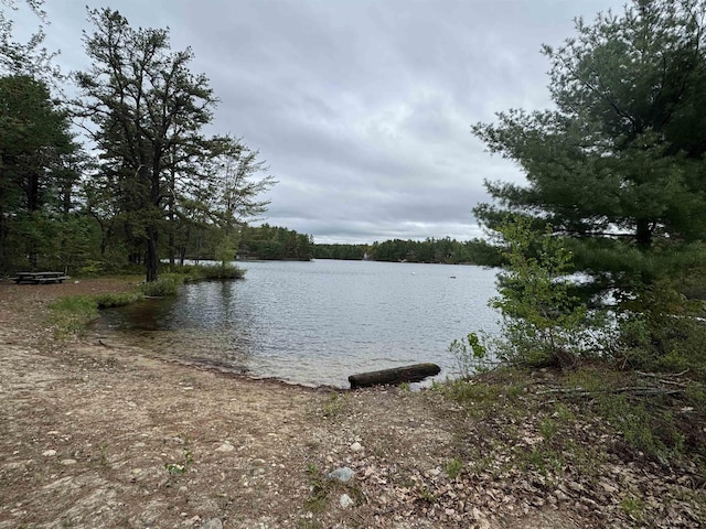 149 Sleepy Hollow Rd, Wakefield, NH 03830 - water view with a heavily wooded area