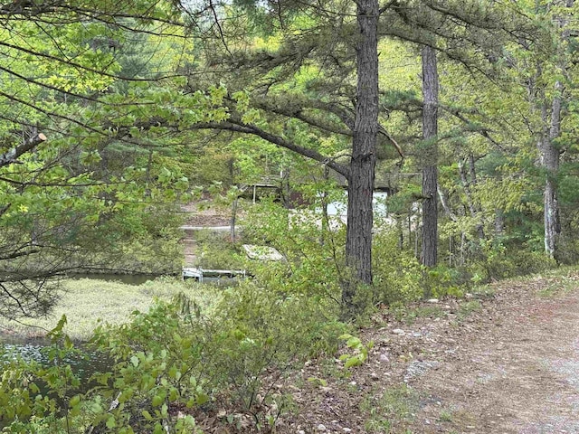 149 Sleepy Hollow Rd, Wakefield, NH 03830 - view of wooded area