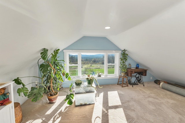 45 Effingham Rd, Ossipee, NH 03864 - additional living space featuring lofted ceiling and carpet