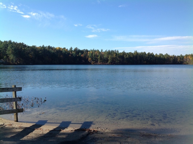 45 Effingham Rd, Ossipee, NH 03864 - dock featuring a water view and a view of trees
