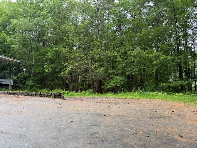 224 E Dunbarton Rd, Goffstown, NH 03045 - view of wooded area