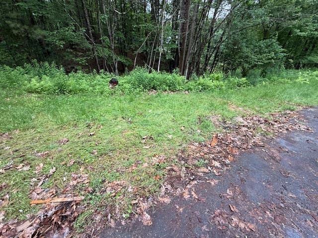 224 E Dunbarton Rd, Goffstown, NH 03045 - view of tree filled area