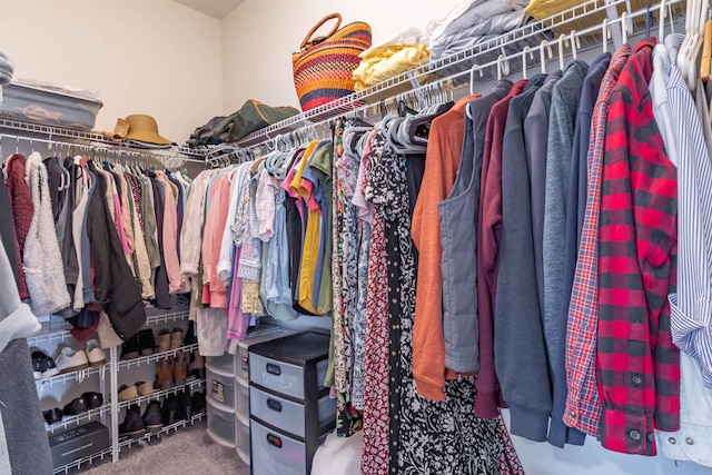 21 Catesby Ln, Londonderry, NH 03053 - spacious closet featuring carpet flooring