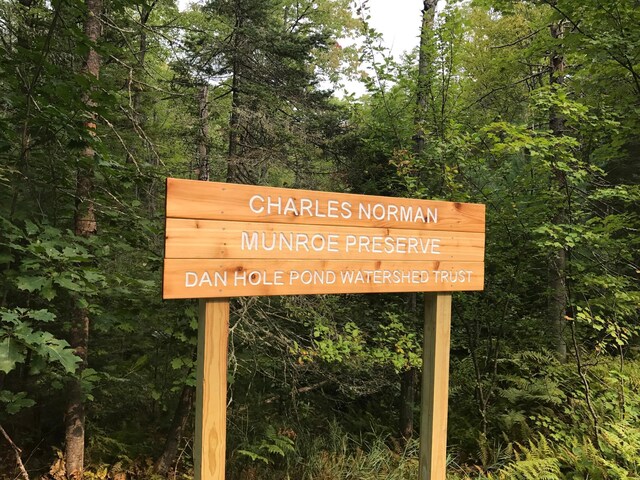 275 Granite Rd, Ossipee, NH 03864 - exterior view of a heavily wooded area