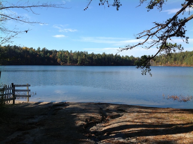 275 Granite Rd, Ossipee, NH 03864 - water view featuring a forest