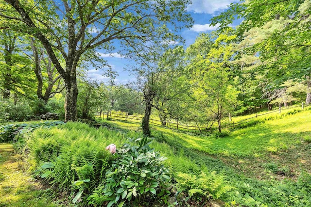 133 Hay Hill Rd, Francestown, NH 03043 - view of local wilderness