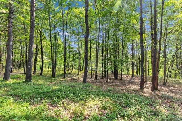 133 Hay Hill Rd, Francestown, NH 03043 - view of nature