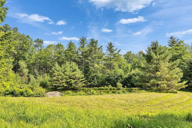 133 Hay Hill Rd, Francestown, NH 03043 - view of woods