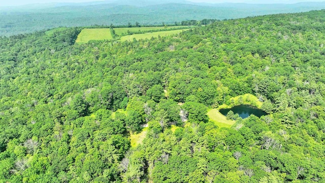 133 Hay Hill Rd, Francestown, NH 03043 - aerial view of property and surrounding area with a heavily wooded area