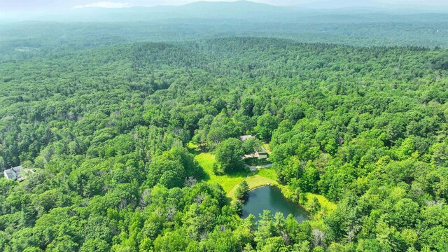 133 Hay Hill Rd, Francestown, NH 03043 - view of property location with a forest and a water and mountain view
