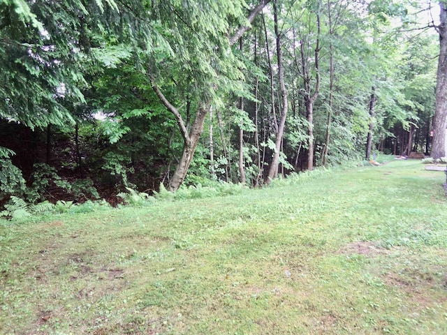 1 Northbrook Rd, Tilton, NH 03276 - view of grassy yard featuring a wooded view