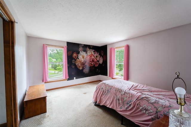 5 Gayle Dr Unit L, Derry, NH 03038 - carpeted bedroom with multiple windows and a textured ceiling