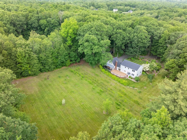 146 Old Sandown Rd, Chester, NH 03036 - view of rural area with a forest