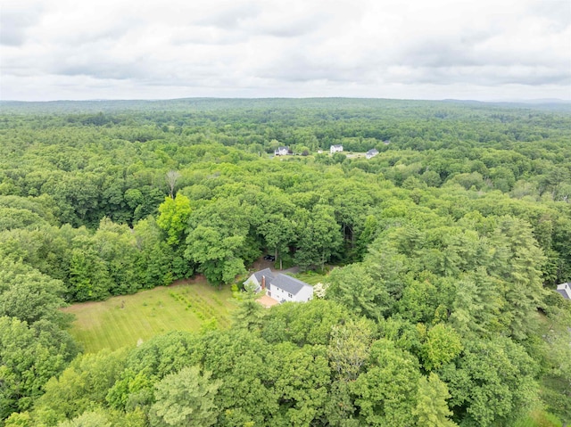 146 Old Sandown Rd, Chester, NH 03036 - aerial view of property's location with a heavily wooded area