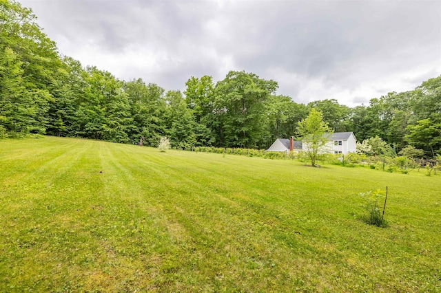 146 Old Sandown Rd, Chester, NH 03036 - view of grassy yard with a view of trees