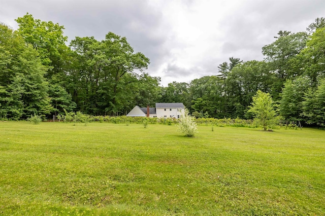 146 Old Sandown Rd, Chester, NH 03036 - view of green lawn featuring a forest view