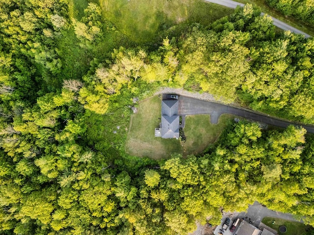 27 Westbrook Dr, New Ipswich, NH 03071 - view from above of property