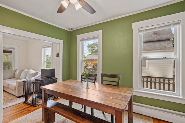 19 Highland St, Concord, NH 03301 - dining room with light wood finished floors, ceiling fan, ornamental molding, and baseboard heating