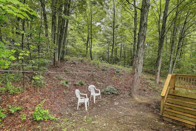 24 Meredith Center Rd, Meredith, NH 03253 - view of yard with a view of trees