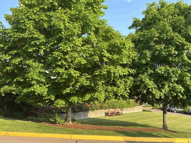 67 Pearl St Unit 8, Essex Junction, VT 05452 - view of community