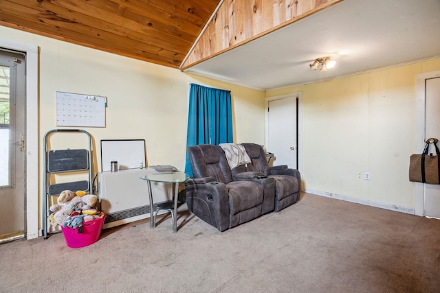 11 Providence Ave, Claremont, NH 03743 - carpeted living room featuring vaulted ceiling and wood ceiling