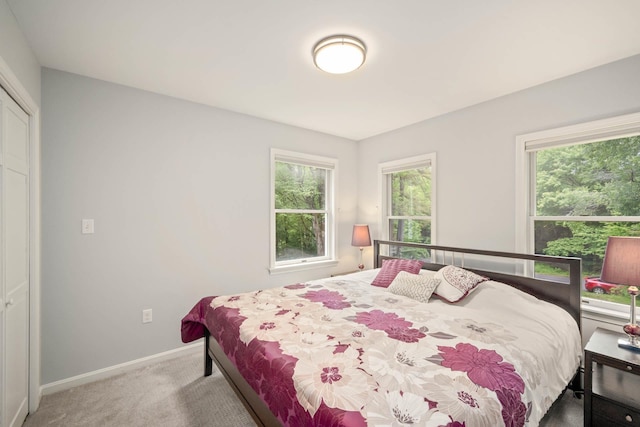 26 Harvard Ln, Bedford, NH 03110 - bedroom with carpet and baseboards
