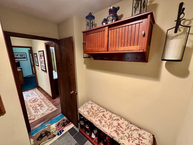 851 German Flats Rd, Fayston, VT 05673 - view of mudroom