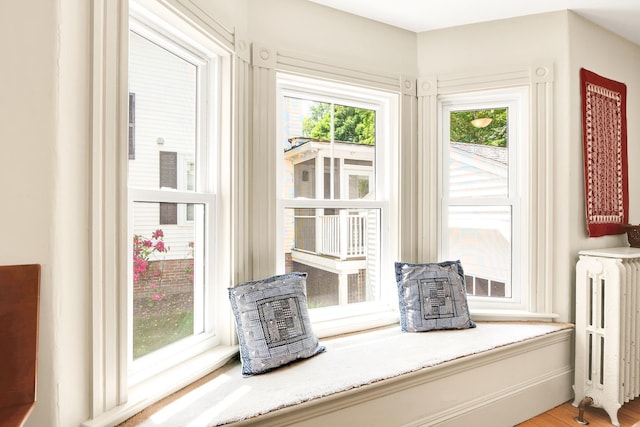 175 Middle Rd, Portsmouth, NH 03801 - detailed view of radiator heating unit