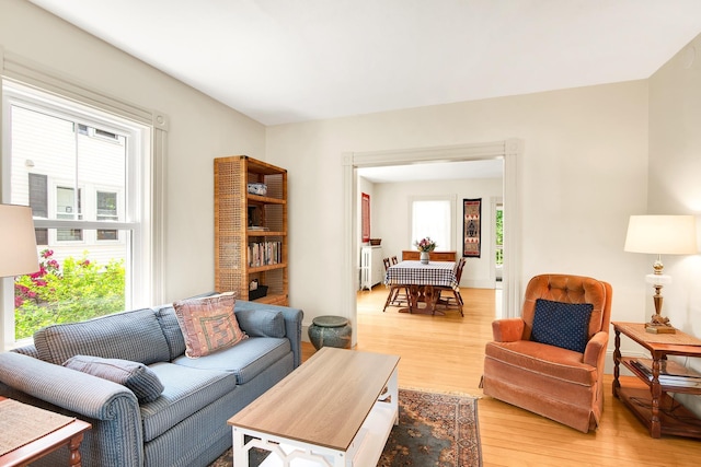 175 Middle Rd, Portsmouth, NH 03801 - living room with light wood-style floors