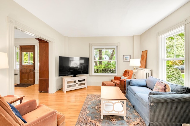 175 Middle Rd, Portsmouth, NH 03801 - living room featuring light wood-type flooring, plenty of natural light, and radiator heating unit