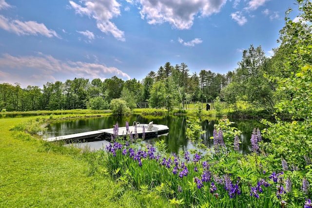 465 Pennell Rd, Chester, VT 05143 - dock featuring a water view