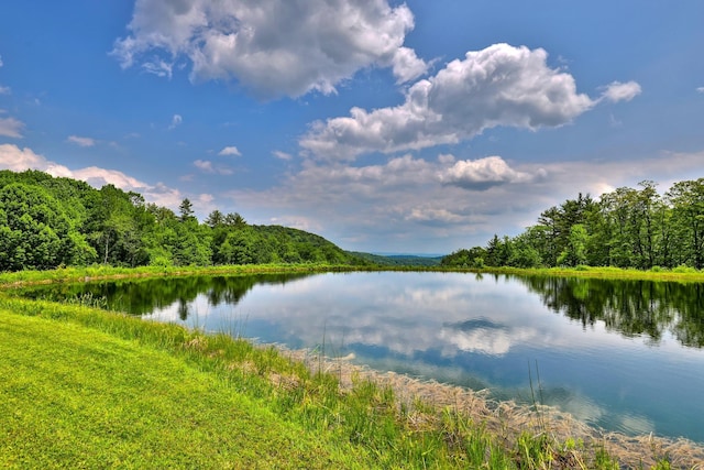 465 Pennell Rd, Chester, VT 05143 - water view with a forest