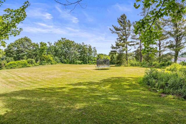 1549 Hinesburg Rd, South Burlington, VT 05403 - view of green lawn with a trampoline