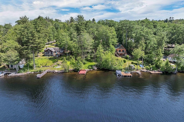 30 Dillon Dr E E, Unit East, Strafford, NH 03884 - water view featuring a boat dock and a forest