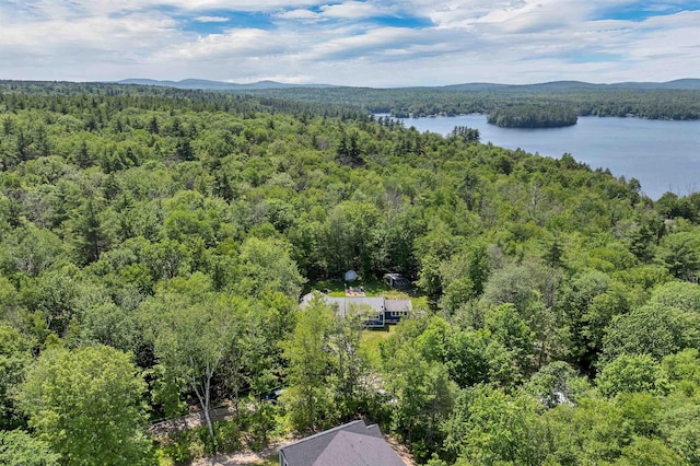 30 Dillon Dr E E, Unit East, Strafford, NH 03884 - drone / aerial view of a forest and a water and mountain view
