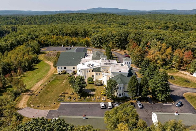 118 Secretariat Way Unit 115, Rochester, NH 03867 - aerial view of property's location with a forest