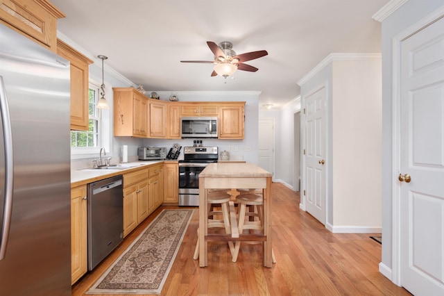 202 Cherry Valley Rd, Alton, NH 03810 - kitchen with stainless steel appliances, light brown cabinetry, light countertops, light wood-style floors, and ceiling fan