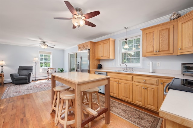 202 Cherry Valley Rd, Alton, NH 03810 - kitchen featuring appliances with stainless steel finishes, light countertops, ceiling fan, light wood-style floors, and open floor plan