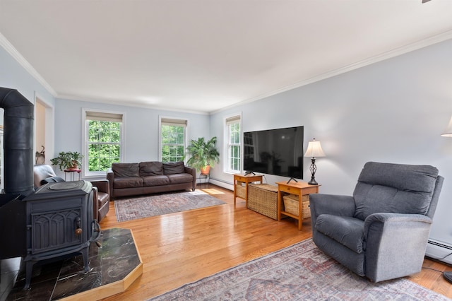 202 Cherry Valley Rd, Alton, NH 03810 - living room with a wood stove, wood finished floors, crown molding, and a baseboard radiator